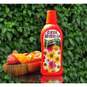 Resim Belle Fusion Mey Ithalat® Çiçek Coşturan Çiçek Açan Süs Bitkileri Için 