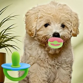 Resim Küçük ırklar için dayanıklı silikon köpek çiğneme oyuncağı - Etkileşimli yavru diş çıkarma çubuğu, ısırmaya karşı koruma, yavru diş sağlığı ve sıkıntı giderme, yumuşak elastik diş etleri masajı 