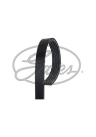 Resim Renault Clio 1998-2016 Arası 1.2, 1.2 Lpg Gates Marka Vantilatör Kayışı 
