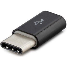 Resim Hadron Hn4418K Otg Type-C To Micro Usb Kutulu Plastik 