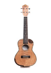 Resim Havana Hk-94 Concert Ukulele + Taşıma Çantalı 