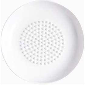 Resim Crate&barrel Beyaz Seramik Sarımsak Rendeleme Özellikli Tabak, Çok Amaçlı Porselen 