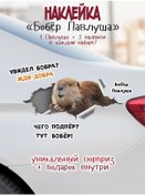 Resim Dom Nakleek Komik 3d Palavuş Kaplumbağa Yapıştırma Etiketleri 176808628 