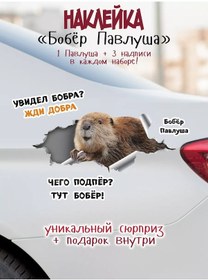 Resim Dom Nakleek Komik 3d Palavuş Kaplumbağa Yapıştırma Etiketleri 176808628 