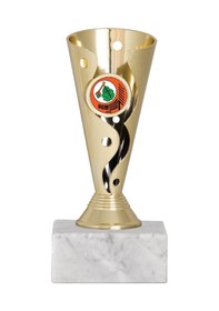 Resim Odak Kupa - Genel Kupalar - Gn-208 A - 16 Cm Altın - Beyaz 