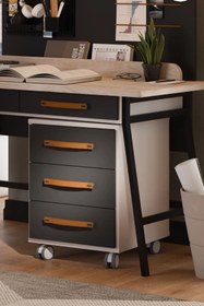 Resim Palmera Black Keson 
