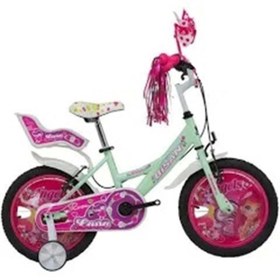 Resim Bisan Rose Kız Çocuk Bisikleti 26cm V 16 Jant Mint Yeşil Pembe - Yeşil 