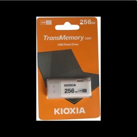 Resim Kıoxıa U301 256gb Usb 3.2 Gen1 Transmemory Flash Disk Beyaz 