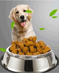 Resim Microcase Kedi Köpek Metal Mama ve Su Kabı AL3118 22 CM 2 x 500 ML 