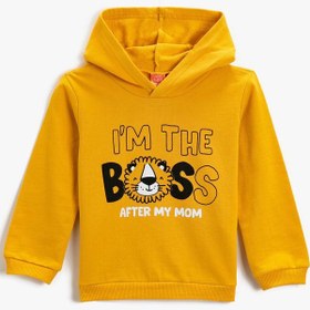 Resim Erkek Bebek Kapüşonlu Sweatshirt Pamuklu 