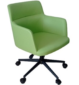 Resim Büro Koltuğu Siyah Metal Ayaklı Döküm Süngerli Yeşil Renk 