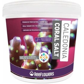 Resim Reeflowers Caledonia Coral Salt Deniz Tuzu 22.5 Kg 