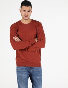 Resim Colin's Regular Fit Bisiklet Yaka Erkek Tarçın Kazak CL1051445_Q1.V2_COR Kahverengi 
