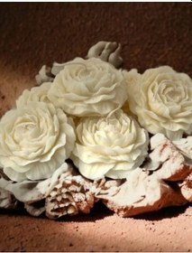 Resim Şakayık Mum Okaliptus Kokulu 