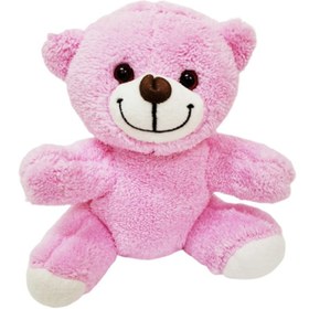 Resim Pembe Peluş Oyuncak Ayıcık 
