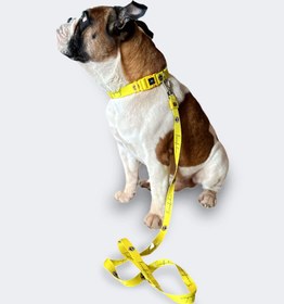 Resim Fenerbahçe Lisanslı & Logolu Köpek Gezdirme Kayışı - Sarı Düz 