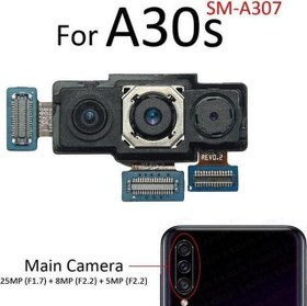 Resim Samsung Galaxy A30S Arka Kamera (Orjinal) 