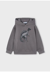 Resim Mayoral Gri Erkek Çocuk Dinazor Baskılı Kapüşonlu Sweatshirt 4407 Gri 