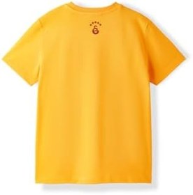 Resim Galatasaray Kadın T-Shirt K252099 