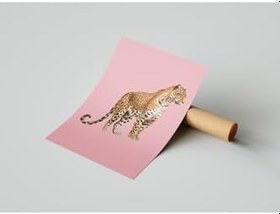 Resim 512 Store Estetik Leopar Bilardo Topu Yıldız Luck Çerçevesiz Tablo Poster 50 X 70 Çok Renkli 