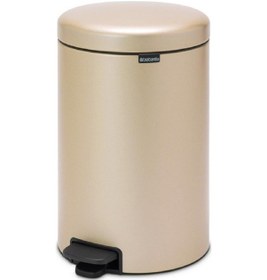 Resim Brabantia Çöp Kutusu 20 Litre Newicon Pedallı Şampanya Rengi 