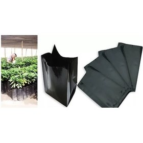 Resim Fide Poşeti 11x13 cm 100 Adet Fide Torbası Fidan Poşeti Fidan Torbası 