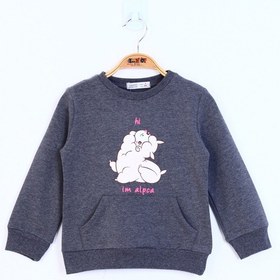 Resim Toontoy Kız Çocuk Kuzu Baskılı Sweatshirt Antrasit Melanj 