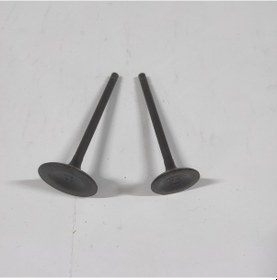 Resim MOTOAN XV 250 CROSS EMME-EGZOZ SUBAP TAKIMI 