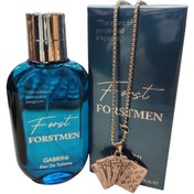 Resim imaj giyim Gabrini Forstmen Edt 120 ml 
