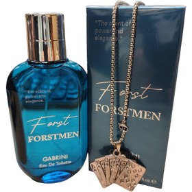 Resim imaj giyim Gabrini Forstmen Edt 120 ml 