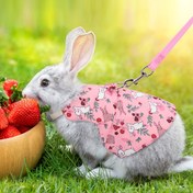 Resim Bir Set Moda Nefes Alabilen Pet Tavşan Koşum Takımı Küçük Pet Hayvanlar için Açık Hava Yürüyüş Malzemeleri 