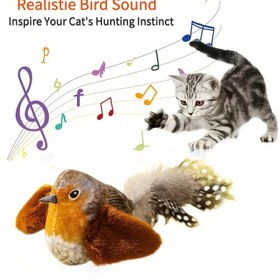Resim Gerçekçi Kuş Sesli Kedi Oyuncakları Yapay Tüylerle ve Dahili Zil ile - Pil Olmadan Mekanik Çığlıklar, Ayarlanabilir Bungee Kordonu, İç Mekan Kedi Besleme ve Av İnsi Stimulation, Etkileşimli Oyun Zamanı, Oynak Tasarım, Dayanıklı İnşaat 