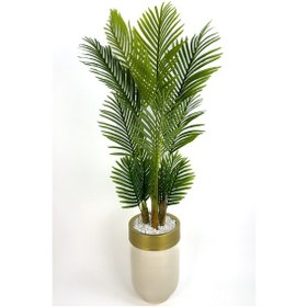 Resim Areka Palmiyesi 160cm Krem Gold Metal Darbuka Saksıda H 