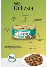 Resim Plus Delizzia / Sos İçinde Parça Etli Somonlu & Tavuklu Yetişkin Kedi Maması 85g X 24 Adet 