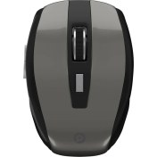 Resim Polosmart PBS301 Kablosuz Mouse Gri 