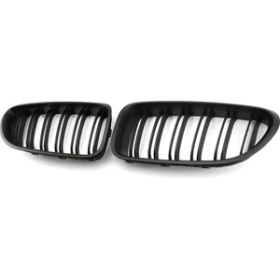 Resim Luenaarry Ön Böbrek Çift Çizgili Izgara Spor Izgara Değişimi (Yurt Dışından) 