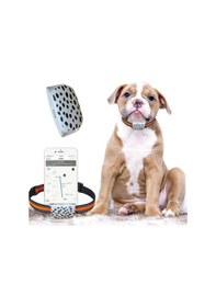 Resim Erctec J2 Sim Kartlı BTK İmei Kayıtlı Gps Hayvan Takip Cihazı 