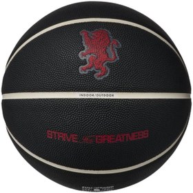 Resim All Court 2.0 8P L James Deflated Unisex Çok Renkli Basketbol Topu N.100.4368.097.07 