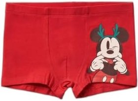 Resim Benetton Erkek Çocuk Yeşil Disney Baskılı Boxer 