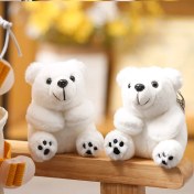 Resim Baijiafu2 Yeni Küçük Peluş Kolye Okul Çantası Çekicilik Anahtarlık Yeni Butik Kapma Makinesi Klip Bebek Makine Bebekleri (Yurt Dışından) 