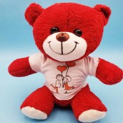 Resim Alifa Toptan Tişörtlü Kırmızı Oyuncak Ayı 