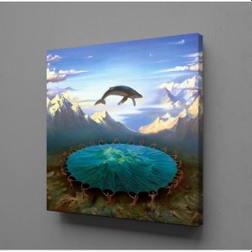 Resim Yunus Balığı Kanvas Tablo 200x200cm 