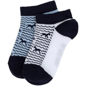 Resim U.S. Polo Assn. Erkek Çocuk 2'li Patik Çorap 50311350-VR013 