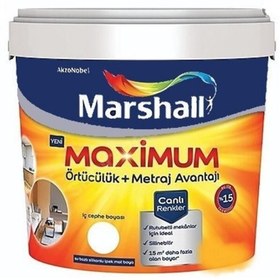 Resim Marshall Maximum Silikonlu Ipek Mat Boya 