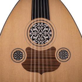 Resim Ugar 1665 TAC 24 Ceviz Türk Udu 