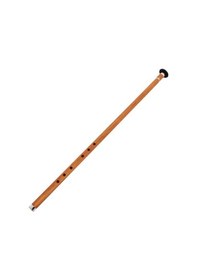 Resim Ney Öğrenci Kız / Si Dnzcev Donizetti Kılıf 