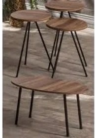 Resim Uslucan Alışveriş Zigon Sehpa Ve Orta Sehpa Set Metal Elips Ceviz Çok Renkli 