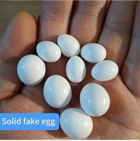 Resim Willowhaven 5/10 Adet Yumurta Muhabbet Kuşu Kanarya Sülün Sultan Papağanı Yapay Yumurta 