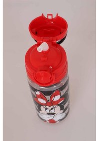 Resim Lisanslı Mınnıe Mouse Trıtan Matara 500 Ml 