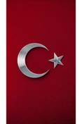 Resim aydın garage Türk Bayrağı Kapı Direk Kaplama Folyosu BASKILI STİCKER Sağ-Sol 2 Adet 22*50 CM 